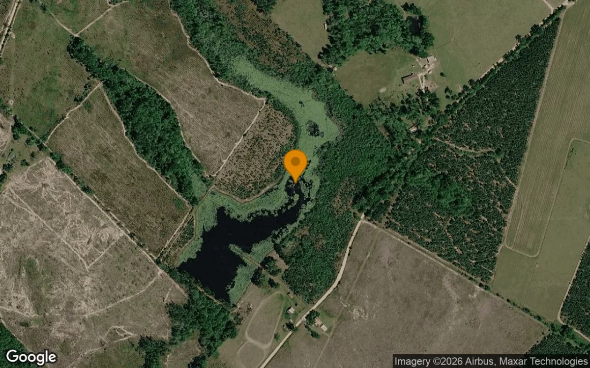 35.13 Acres in Rhine - Telfair County, GA - Main image