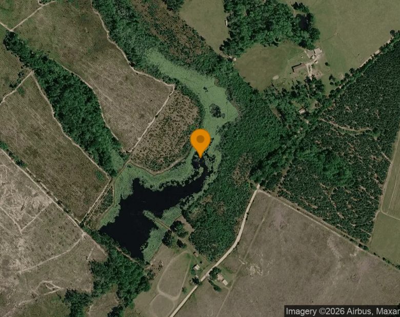 35.13 Acres in Rhine - Telfair County, GA in Telfair County, GA