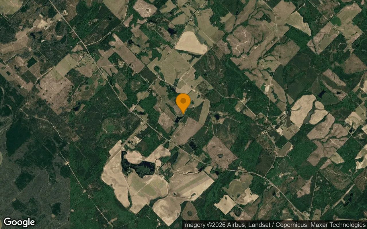 35.13 Acres in Rhine - Telfair County, GA in Telfair County, GA