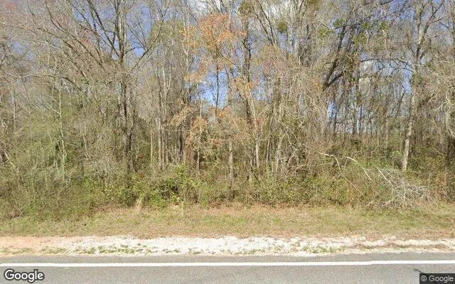 35.13 Acres in Rhine - Telfair County, GA - Image 4