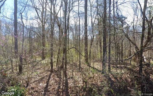 0.55 Acres in Cedartown - Polk County, GA - Image 4