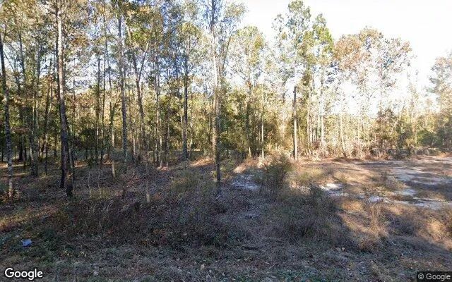 1.5 Acres in Rincon - Effingham County, GA - Image 4