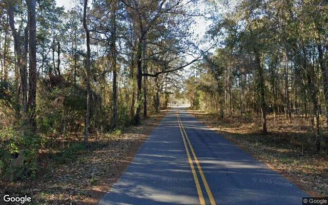 Decorative background for 1.5 Acres in Rincon - Effingham County, GA image 5