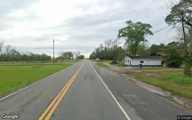 Decorative background for 0.21 Acres in Hartsfield - Colquitt County, GA image 5