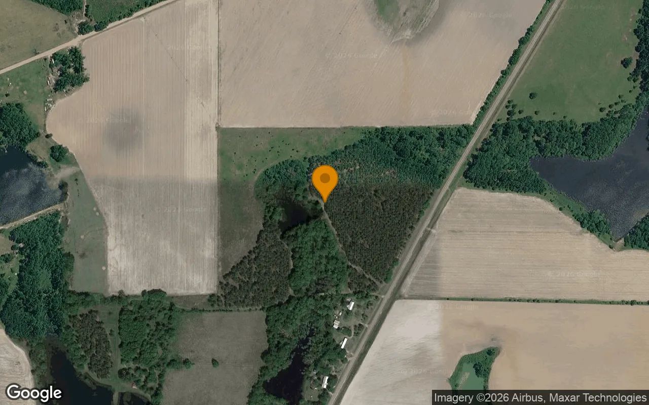 35 Acres in Ocilla - Irwin County, GA in Irwin County, GA