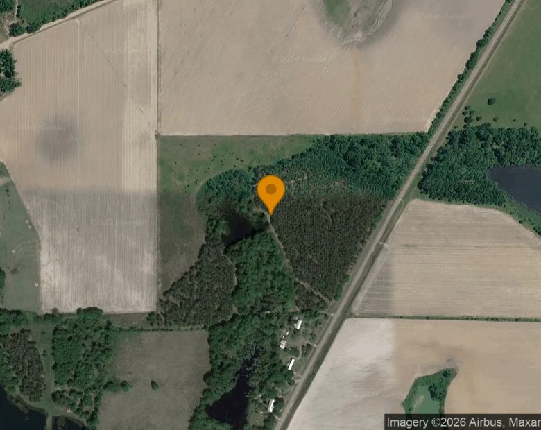35 Acres in Ocilla - Irwin County, GA in Irwin County, GA