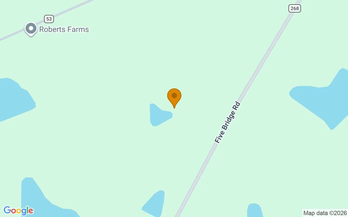 35 Acres in Ocilla - Irwin County, GA - Image 2