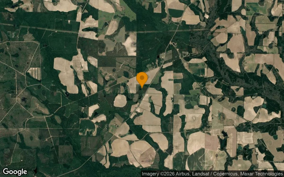 35 Acres in Ocilla - Irwin County, GA - Image 3
