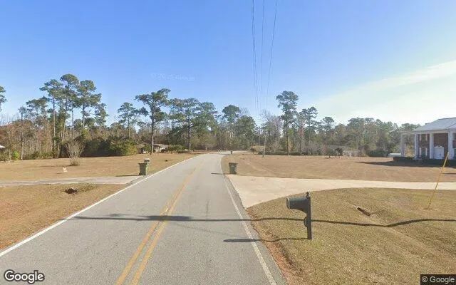 Decorative background for 0.55 Acres in Bainbridge - Decatur County, GA image 6
