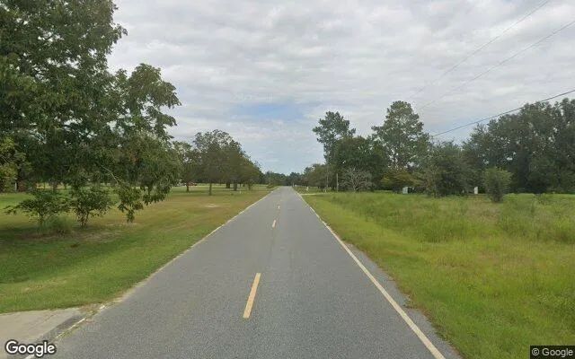 Decorative background for 1.5 Acres in Odum - Wayne County, GA image 5