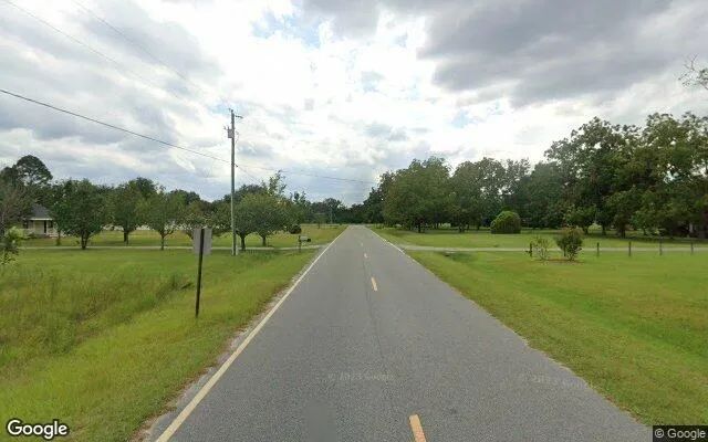 Decorative background for 1.5 Acres in Odum - Wayne County, GA image 6