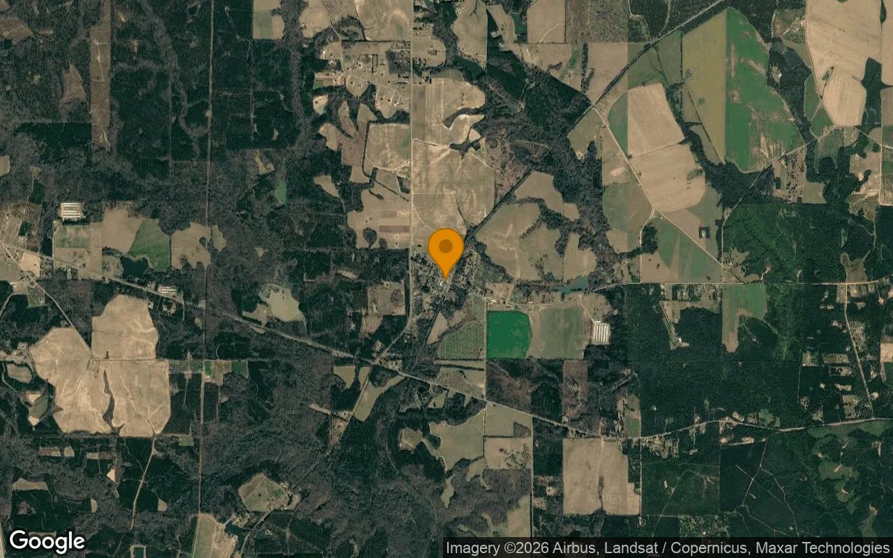 0.13 Acres in Elko - Houston County, GA in Houston County, GA