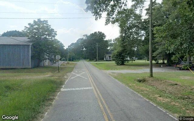 Decorative background for 0.13 Acres in Elko - Houston County, GA image 5