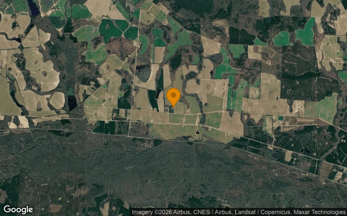 7.45 Acres in Millen - Jenkins County, GA - Image 3