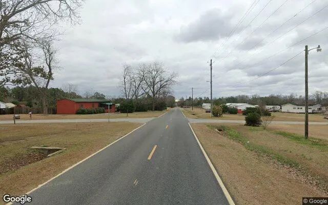 Decorative background for 0.55 Acres in Sumner - Worth County, GA image 5