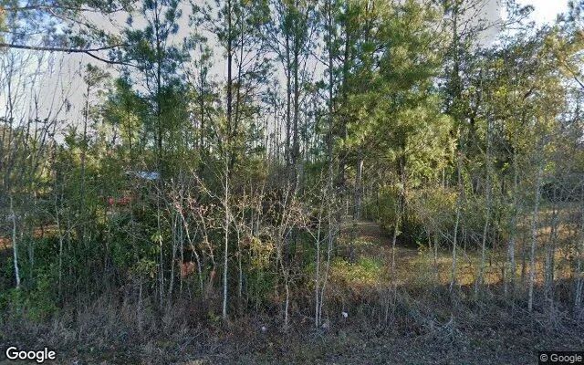 3.25 Acres in Lake Park - Echols County, GA - Image 4