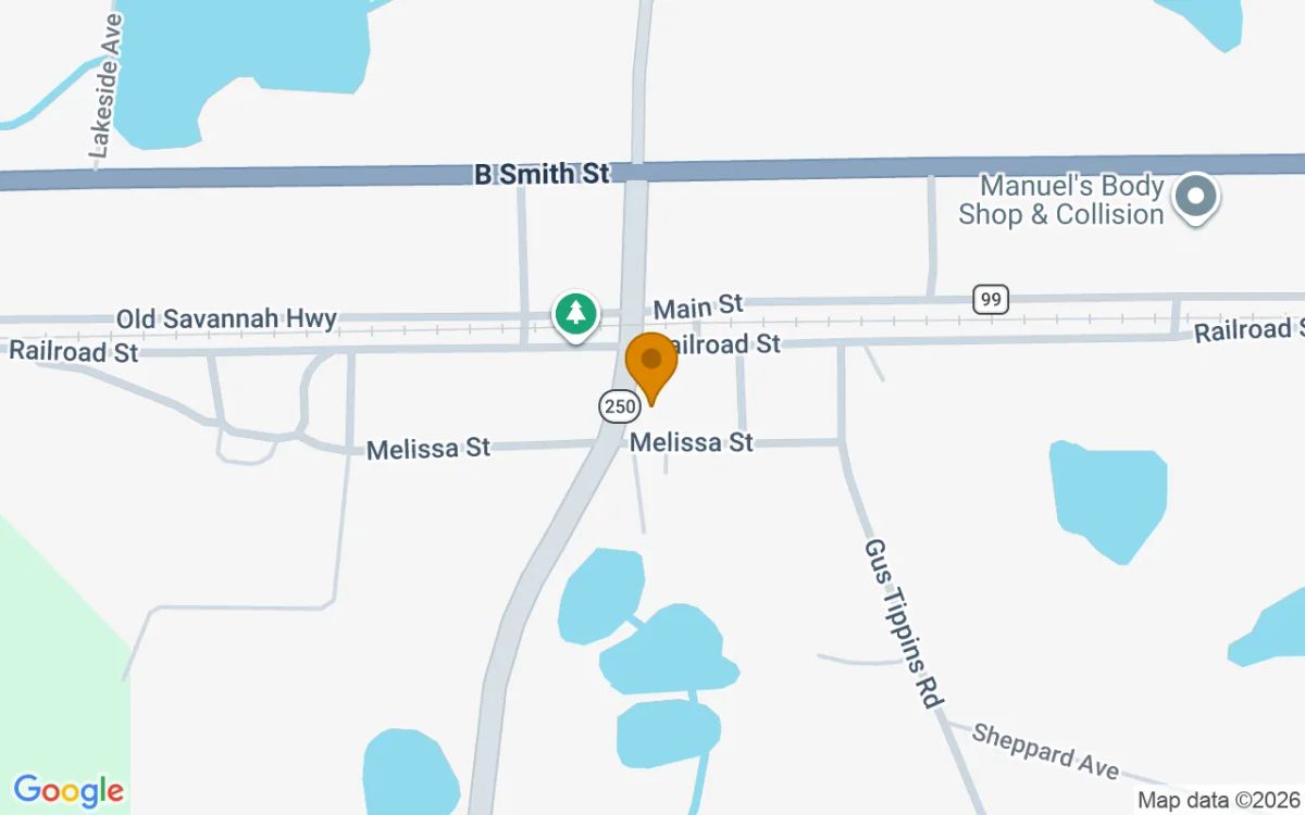 0.34 Acres in Daisy - Evans County, GA - Image 2