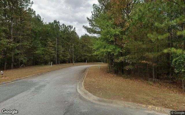 Decorative background for 0.22 Acres in Manchester - Meriwether County, GA image 6
