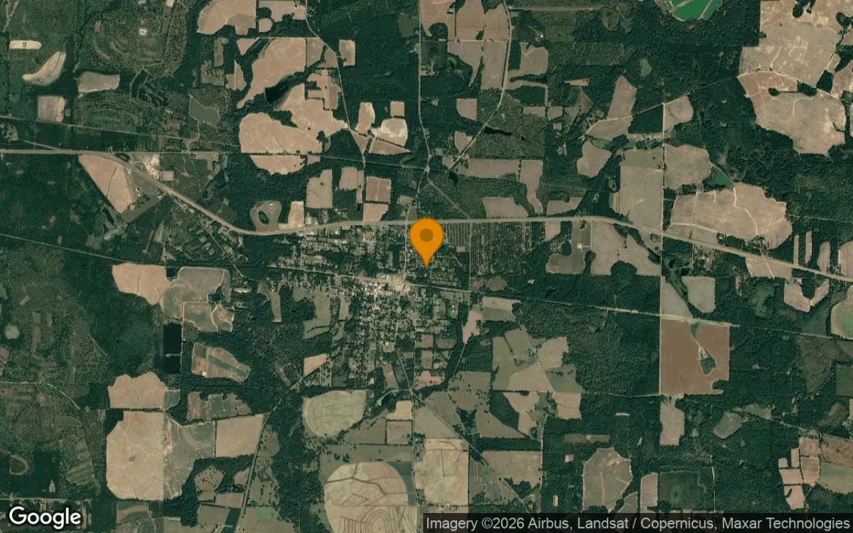 0.55 Acres in Boston - Thomas County, GA - Image 3