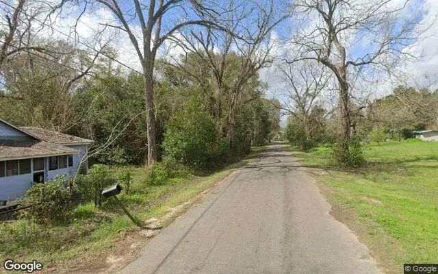 Decorative background for 0.55 Acres in Boston - Thomas County, GA image 5