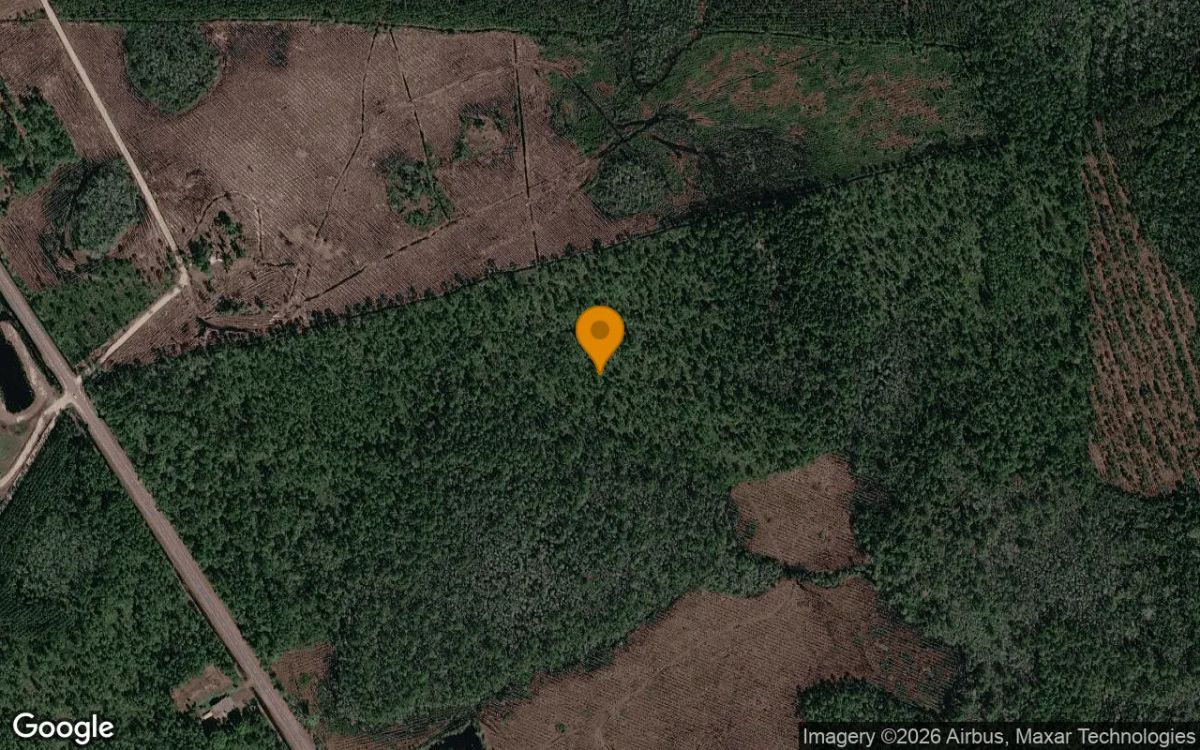 75.06 Acres in Fargo - Clinch County, GA - Main image
