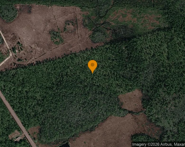 75.06 Acres in Fargo - Clinch County, GA in Clinch County, GA