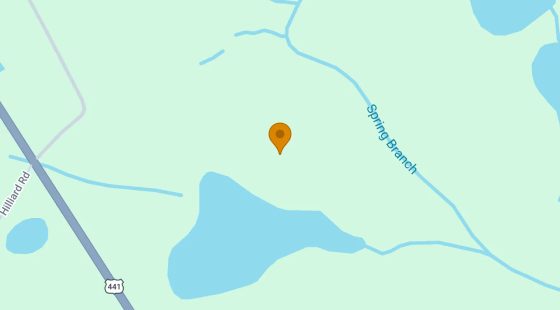 75.06 Acres in Fargo - Clinch County, GA in Clinch County, GA