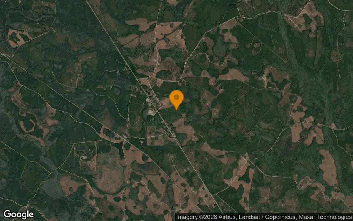 75.06 Acres in Fargo - Clinch County, GA - Image 3