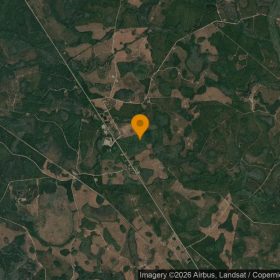 75.06 Acres in Fargo - Clinch County, GA in Clinch County, GA