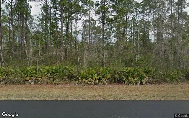75.06 Acres in Fargo - Clinch County, GA in Clinch County, GA