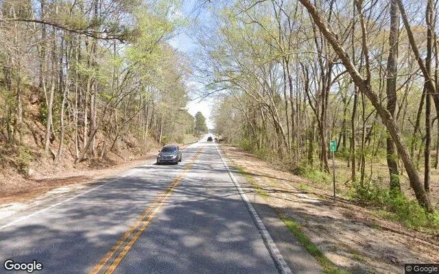 Decorative background for 7.73 Acres in Ellerslie - Harris County, GA image 6