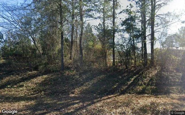 0.44 Acres in Mc Intyre - Wilkinson County, GA in Wilkinson County, GA