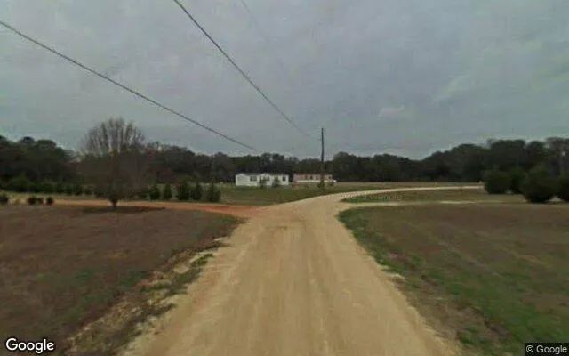 Decorative background for 0.77 Acres in Arlington - Calhoun County, GA image 5