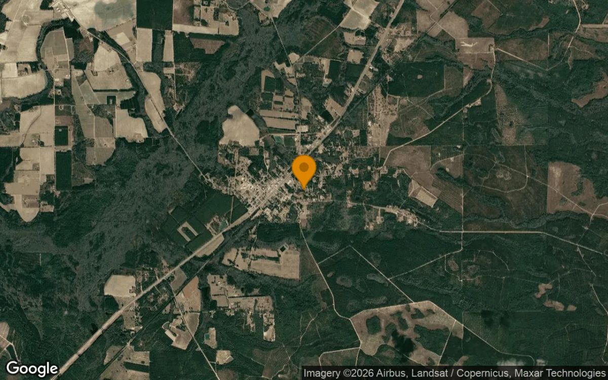 0.11 Acres in Screven - Wayne County, GA - Image 3