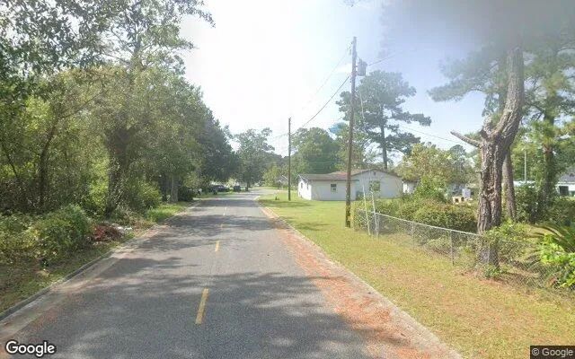 Decorative background for 0.11 Acres in Screven - Wayne County, GA image 6
