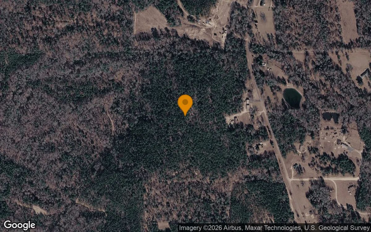 35.95 Acres in Box Springs - Talbot County, GA - Main image