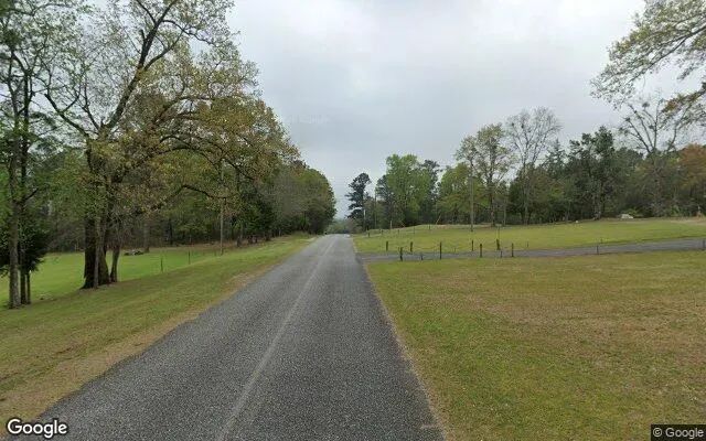 Decorative background for 35.95 Acres in Box Springs - Talbot County, GA image 5