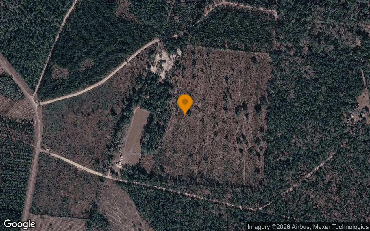14.9 Acres in Nahunta - Brantley County, GA in Brantley County, GA