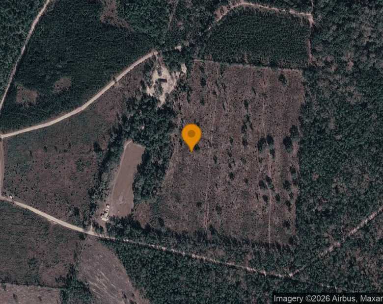 14.9 Acres in Nahunta - Brantley County, GA in Brantley County, GA