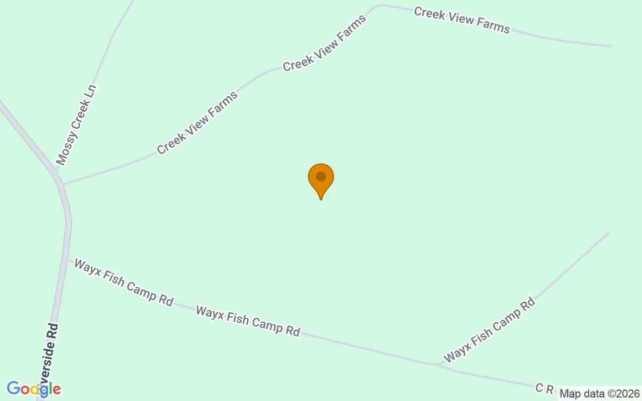 14.9 Acres in Nahunta - Brantley County, GA in Brantley County, GA