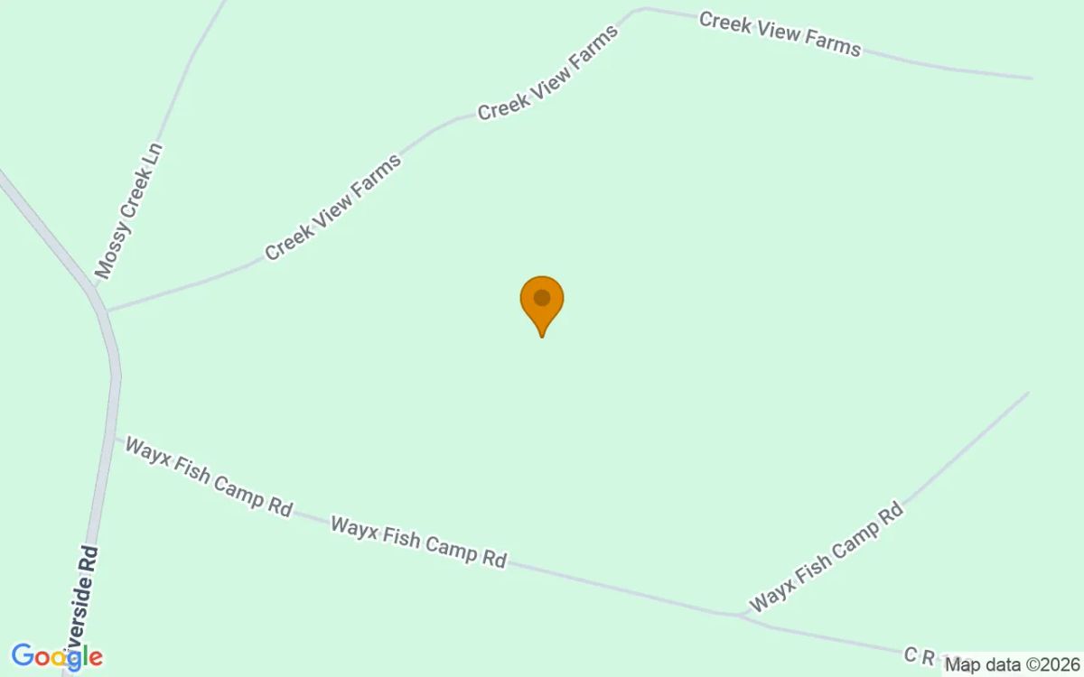 14.9 Acres in Nahunta - Brantley County, GA - Image 2