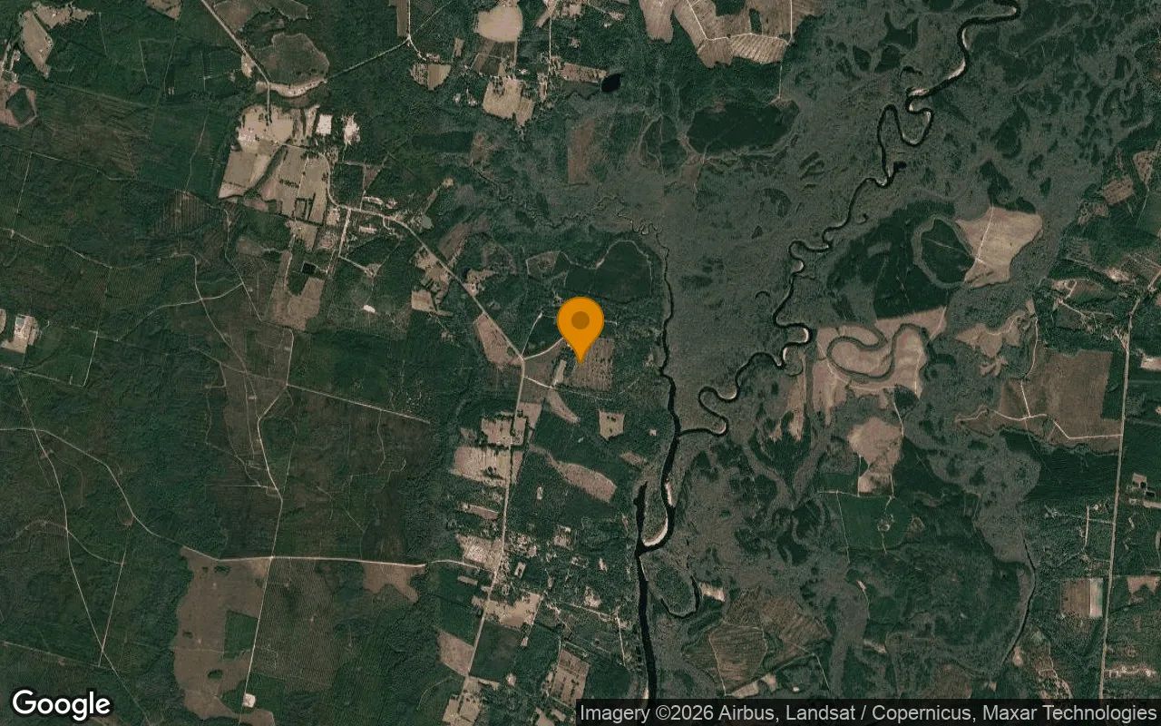 14.9 Acres in Nahunta - Brantley County, GA in Brantley County, GA