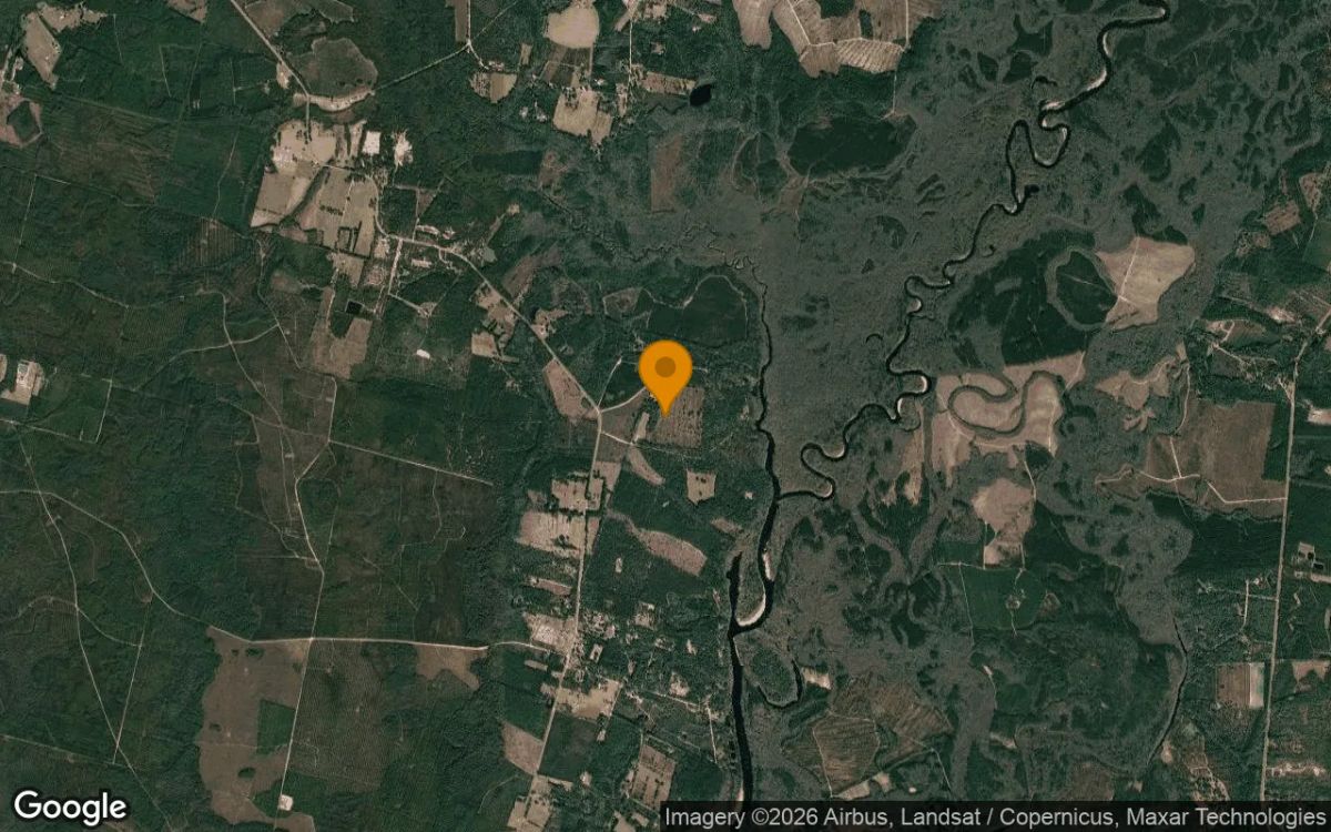 14.9 Acres in Nahunta - Brantley County, GA - Image 3