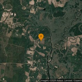14.9 Acres in Nahunta - Brantley County, GA in Brantley County, GA