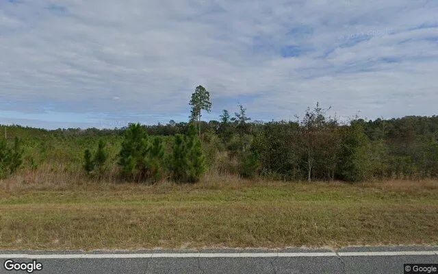 14.9 Acres in Nahunta - Brantley County, GA - Image 4