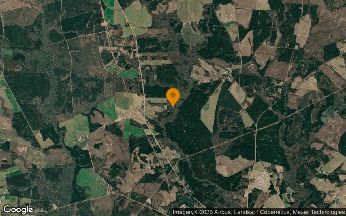 34.77 Acres in Wrightsville - Johnson County, GA - Image 3