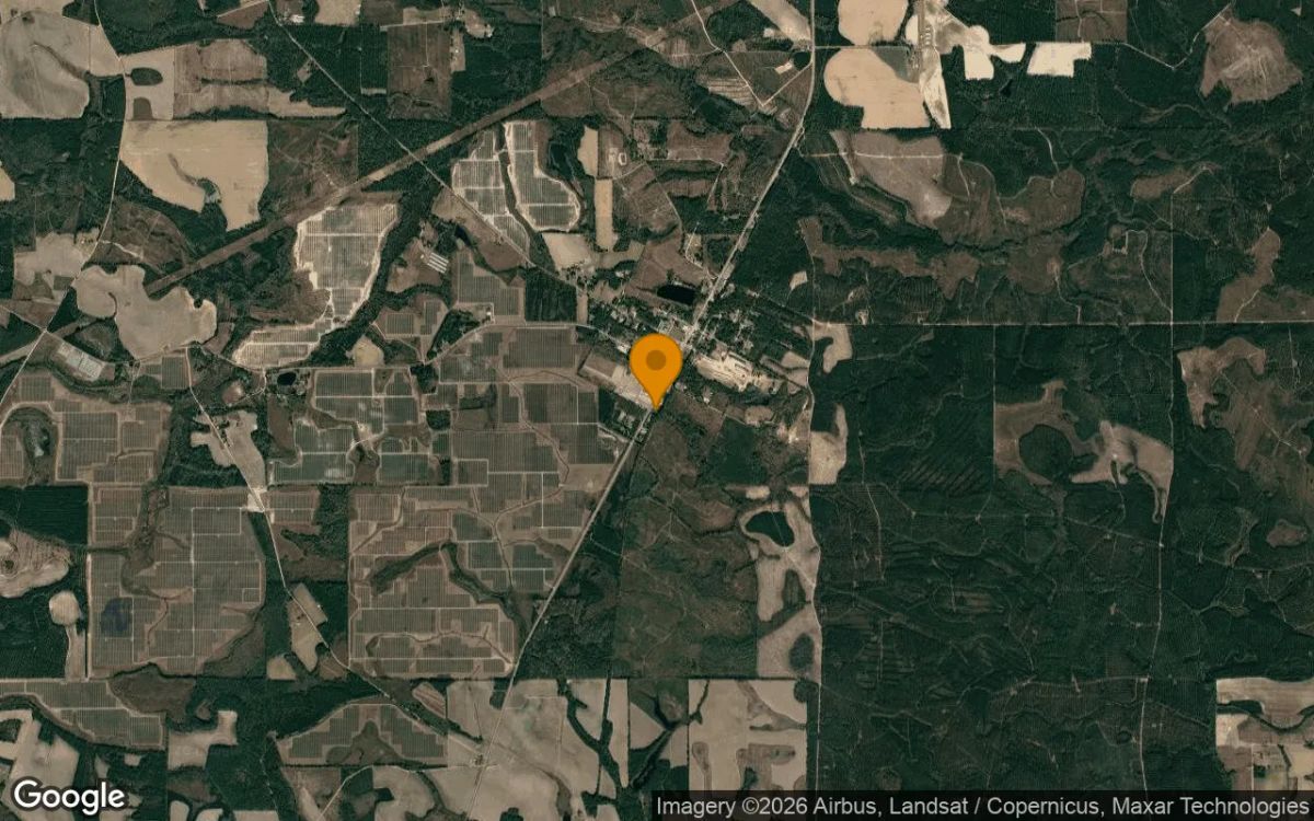 1.13 Acres in Denton - Jeff Davis County, GA - Image 3