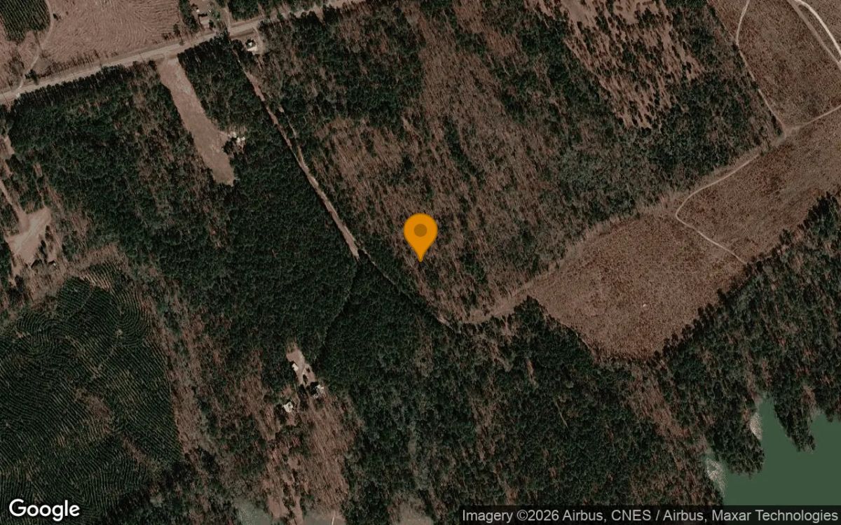 3.5 Acres in Tignall - Lincoln County, GA - Main image