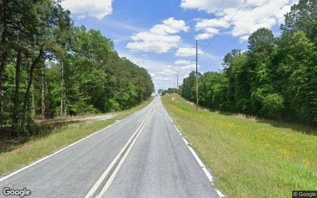 Decorative background for 3.5 Acres in Tignall - Lincoln County, GA image 5