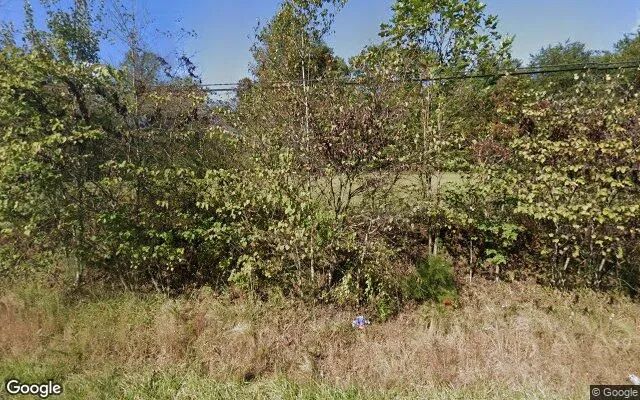 1.5 Acres in Blue Ridge - Fannin County, GA - Image 4
